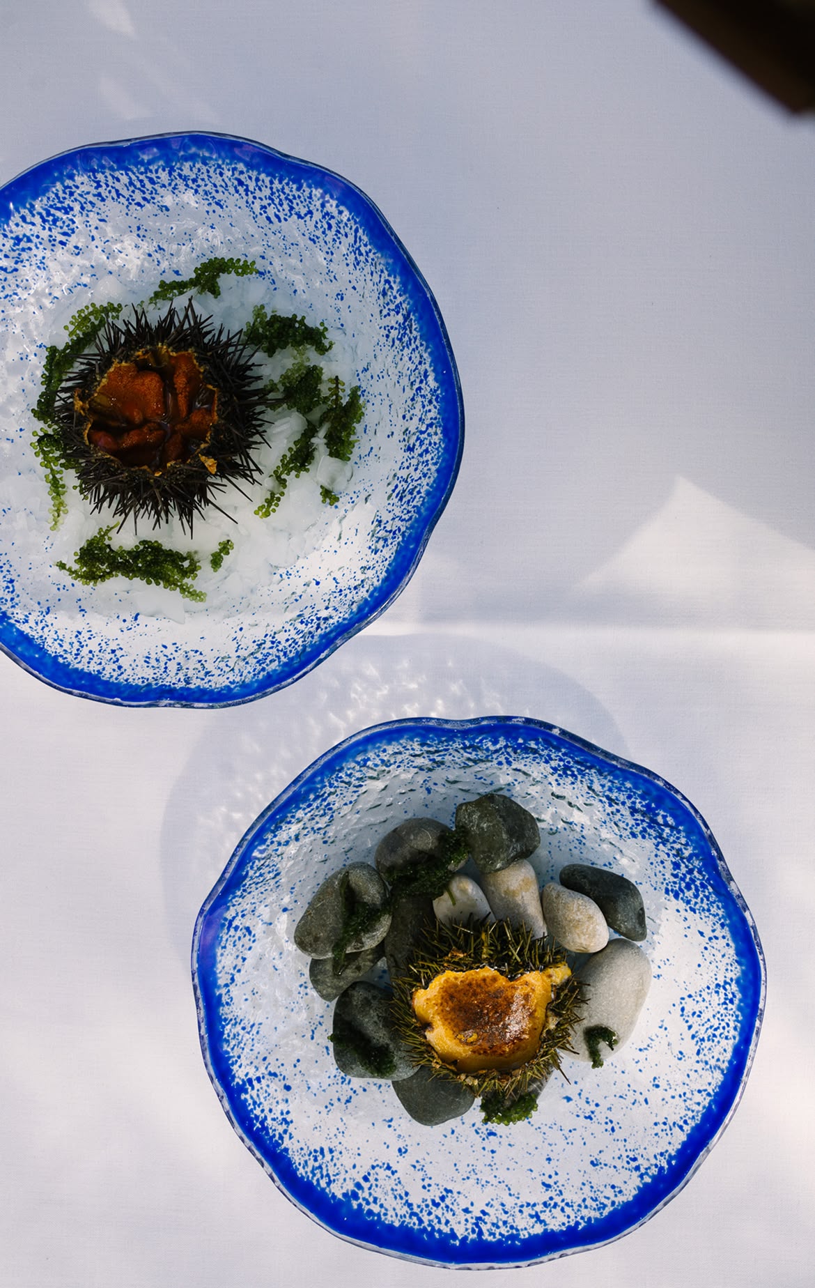 restaurante-olleta-el-restaurante-movil-2