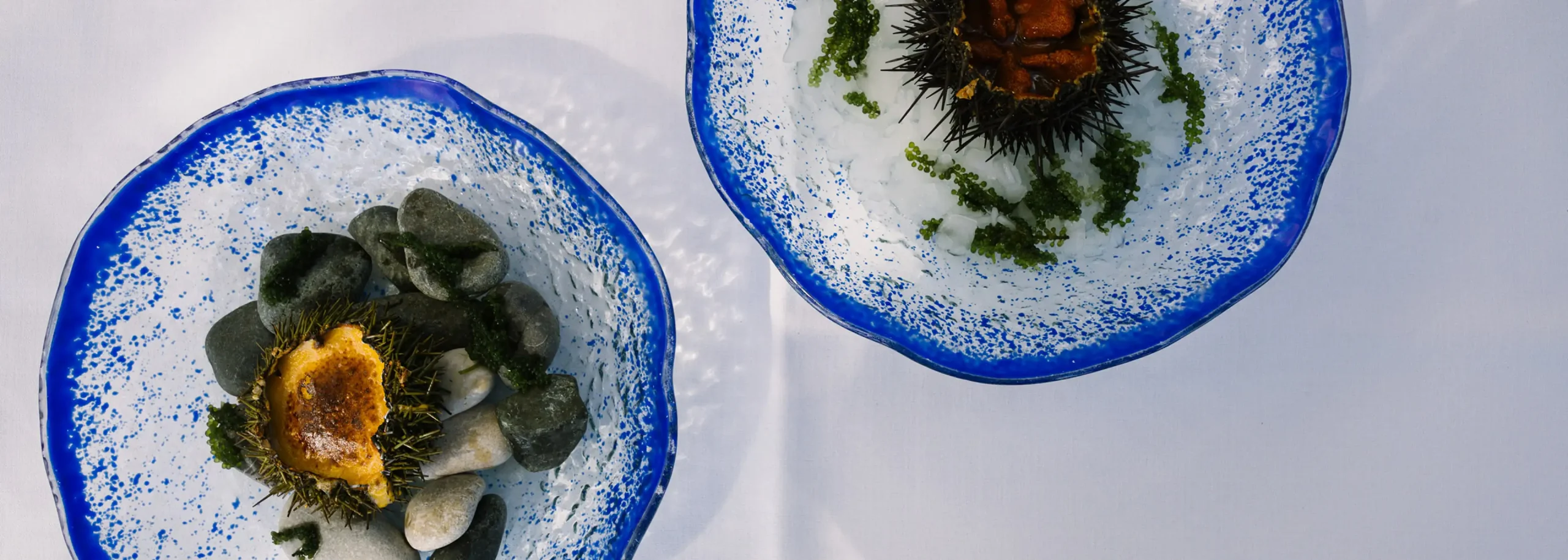 restaurante-olleta-vista-erizos